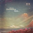 Picture for song 'Dolphins' by artist 'the Room Orchestra'