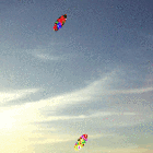 Picture for song 'Winking at Trees' by artist 'The Serendipitous Cacophonies'