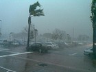Picture for song 'WEATHER THE STORM' by artist 'The Specialists'