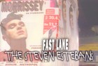 Picture for song 'Fast Lane' by artist 'The Steven Estebans'