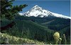 Picture for song 'She'll Be Coming Around The Mountain . . .' by artist 'The Three Yeehaws'