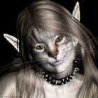 Picture for song 'T.I.G.A.H' by artist 'The tigress'