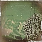 Picture for song 'Forever Approximating A Whole' by artist 'The Trying'
