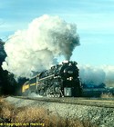 Picture for song 'New River Train' by artist 'The Vault - Selections from Our Scatalogue'