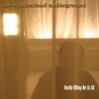 Picture for song 'Told You So' by artist 'The Wonderland Underground'