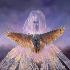 Picture for song 'Ancient Voices' by artist 'Tom Aragon'