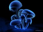 Picture for song 'Dream Catcher' by artist 'Tom Aragon'