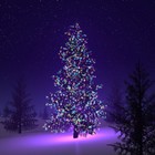 Picture for song 'A Trap Christmas - Fredo Santana Type Beat' by artist 'Tom Makes Beats'