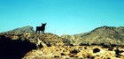 Picture for song 'Capricho Arabe' by artist 'Tom McLaughlin'