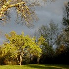 Picture for song 'April Storm.mp3' by artist 'Tommy Williams'