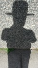 Picture for song 'a new bass in hell' by artist 'tom n dalek enterprises ltd'
