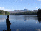 Picture for song 'Peace be Still' by artist 'Tom Parsons'