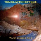 Picture for song 'NightRose' by artist 'Tom Slayton Effect'