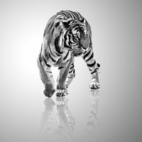 Picture for song 'SOMEWHERE' by artist 'TONEzEp1K Pro'