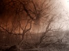 Picture for song 'Nightmares' by artist 'ToNY TiZ'