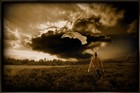 Picture for song 'Failed Exorcism' by artist 'Top Status Productionx'