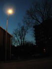 Picture for song 'Lost in London' by artist 'Tracy Lalonde'