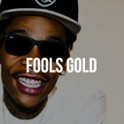 Picture for song 'Fools Gold' by artist 'TrakkBlazers'