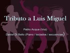 Picture for song 'No culpes a la noche' by artist 'Tributo Luis Miguel Daniel y Pablo'