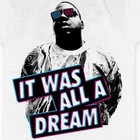 Picture for song 'All A Dream' by artist 'Trippy T'