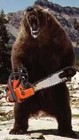 Picture for song 'bears with chainsaws' by artist 'Tristan Cisneros'