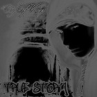 Picture for song 'In the end' by artist 'True Storm'