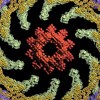 Picture for song 'Margo's dream' by artist 'Tungus Fungus'