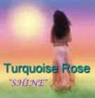 Picture for song 'SHINE' by artist 'Turquoise Rose'