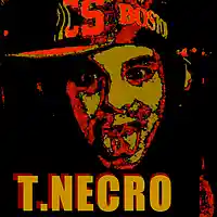 Picture for song 'Puddle Hoppin' by artist 'Turtle Necromancer'