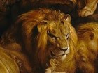 Picture for song 'Lions Den' by artist 'Twing Dynasty'