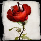 Picture for song 'YOU OR ME' by artist 'UGO Band'