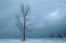 Picture for song 'Winter' by artist 'USB'