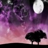 Picture for song 'ITS NO WONDER..THAT I WONDER...' by artist 'Valerie Lynn'