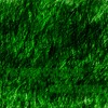 Picture for song 'The Green Experience' by artist 'Varun Kishore'