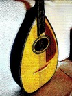 Picture for song 'Fusion with a Twist of Cittern' by artist 'Viking Blues'