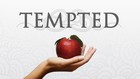 Picture for song 'Tempted' by artist 'V-Kingz Beats'