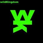 Picture for song 'Time Traveler' by artist 'WILD KINGDOM'