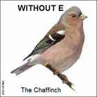 Picture for song 'THE CHAFFINCH' by artist 'WITHOUT E'