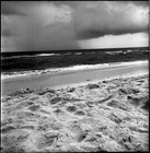 Picture for song 'Thunder Cove' by artist 'WTS-Productions'