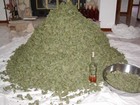 Picture for song 'Drugs Drugs.mp3' by artist 'XL73'