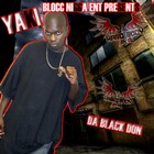 Picture for song 'tell me dissin jayo felony and lil wayne' by artist 'yaki tha black don'