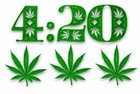 Picture for song 'YGC Smokin All Day' by artist 'YGC Productions'