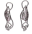 Picture for song 'Cave His Chest In' by artist 'Young Bizz'