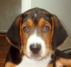 Picture for song 'Op De Juiste Plaats' by artist 'Youniverse'