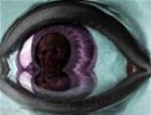 Picture for song 'real niigga vision' by artist 'yungamaze'