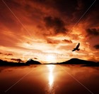 Picture for song 'Freedom' by artist 'Z.A.N.G.'