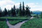 Picture for song 'There Are Two Paths, And I Choose the Third' by artist 'Zedster'