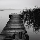 Picture for song 'Melancholie |NEW #1 HIT| Exclusive!!!' by artist 'zRy'