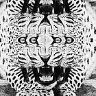 Picture for song 'LVL (FREE DL)' by artist 'Downtown Music'