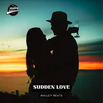 Picture for song 'SUDDEN LOVE [COUNTRY RAP TYPE BEAT]' by artist 'Malley Beats'
